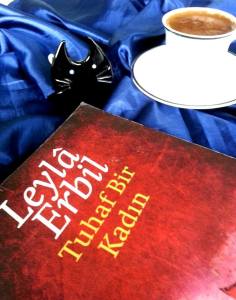 Leyla Erbil Tuhaf Bir Kadın romanı