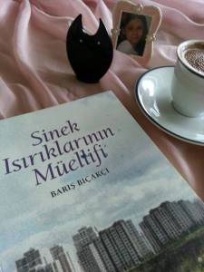 Sinek Isırıklarının Müellifi Barış Bıçakçı